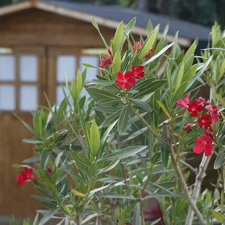 Πανσιόν Hovirag 3*